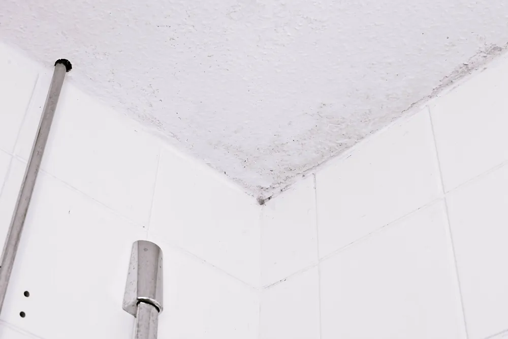 Mould Patch in the bathroom