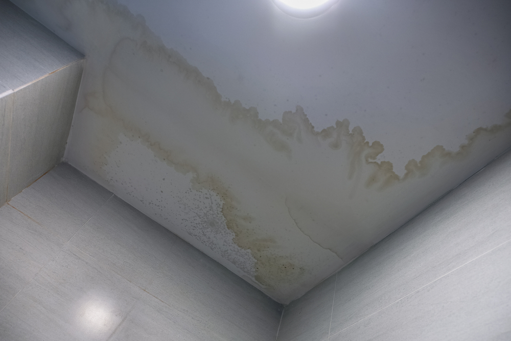 ceiling damp